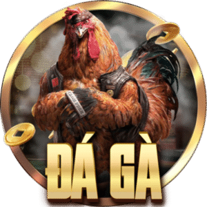 đá gà thomo